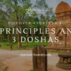 Découvrez les 5 principes et 3 doshas de l'Ayurveda